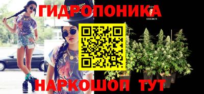 гидра Ангарск